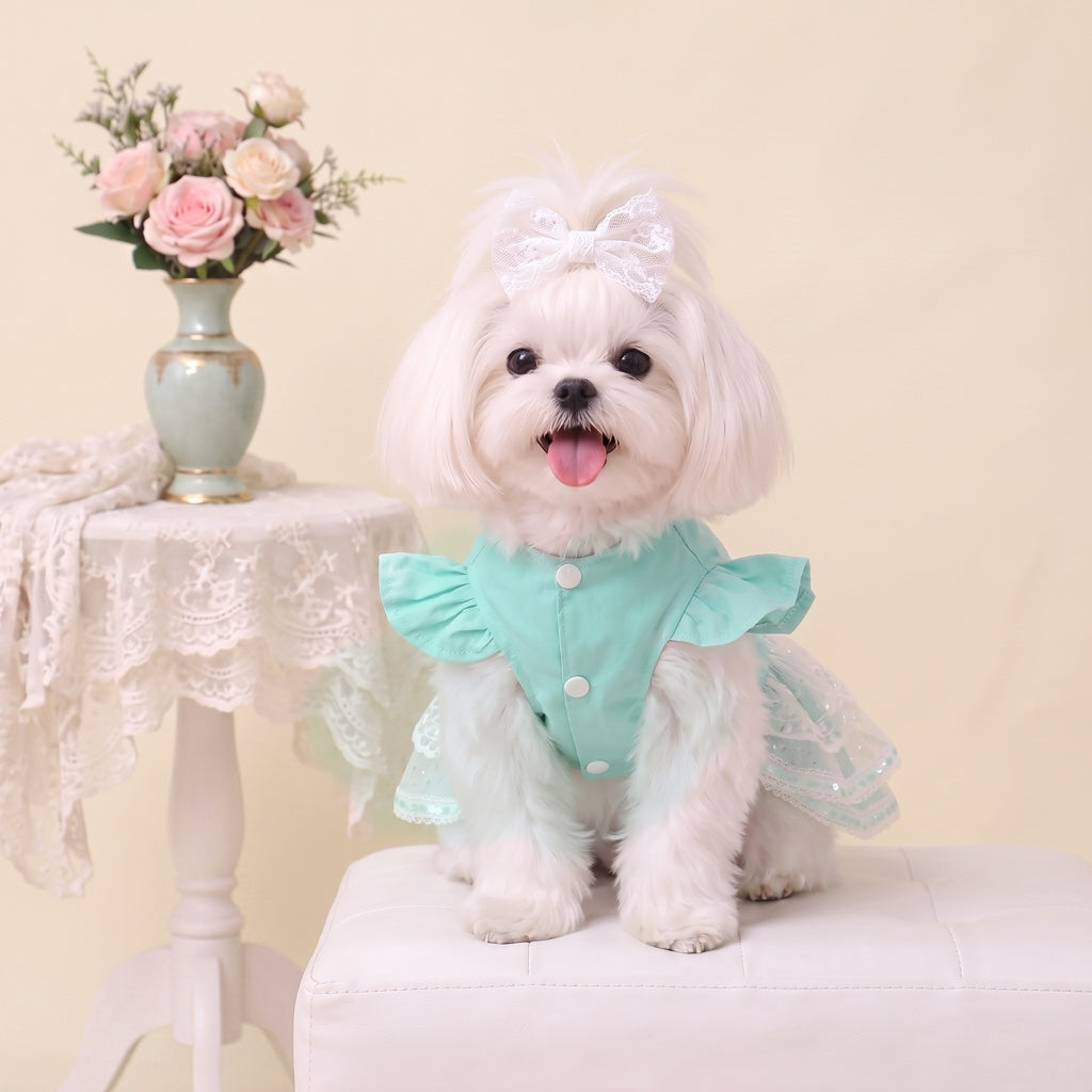dog bridesmaid dress Yappily Ever After Wedding Posh Pet Glamour Boutique accented by eucalyptus leaves FLAdorepet White Lace Small Dog