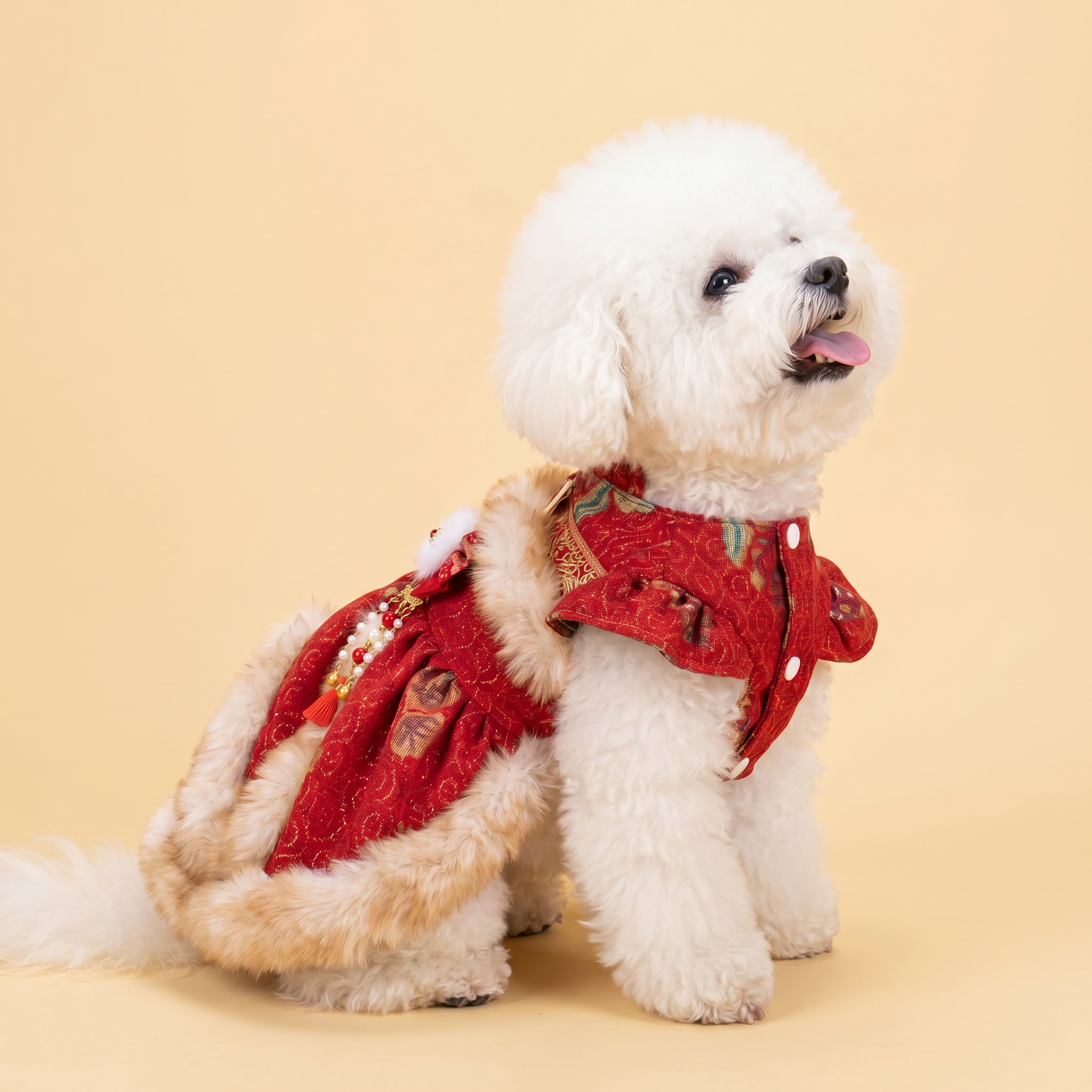 [Chubby Melon]Christmas Winter Dress for Dogs, Luxury Red Pet Gown with Fluffy Fur Trim, Vintage Floral Warm Outfit for Small Dogs and Cats, Perfect for Holiday Photoshoots