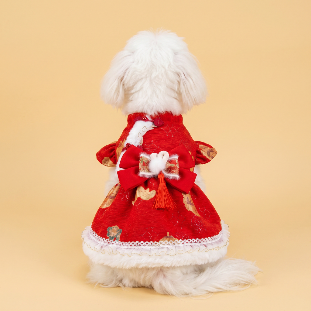 [Chubby Melon]Red Fortune Pattern Pet New Year Qipao Dress, Bunny Bow Tassel Padded Winter Festive Costume for Small Dogs & Cats
