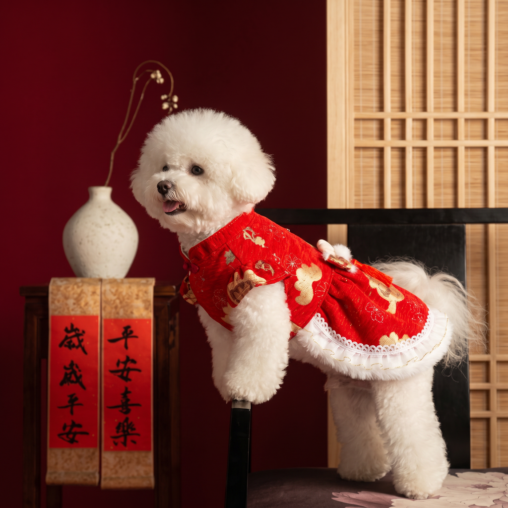 [Chubby Melon]Red Fortune Pattern Pet New Year Qipao Dress, Bunny Bow Tassel Padded Winter Festive Costume for Small Dogs & Cats