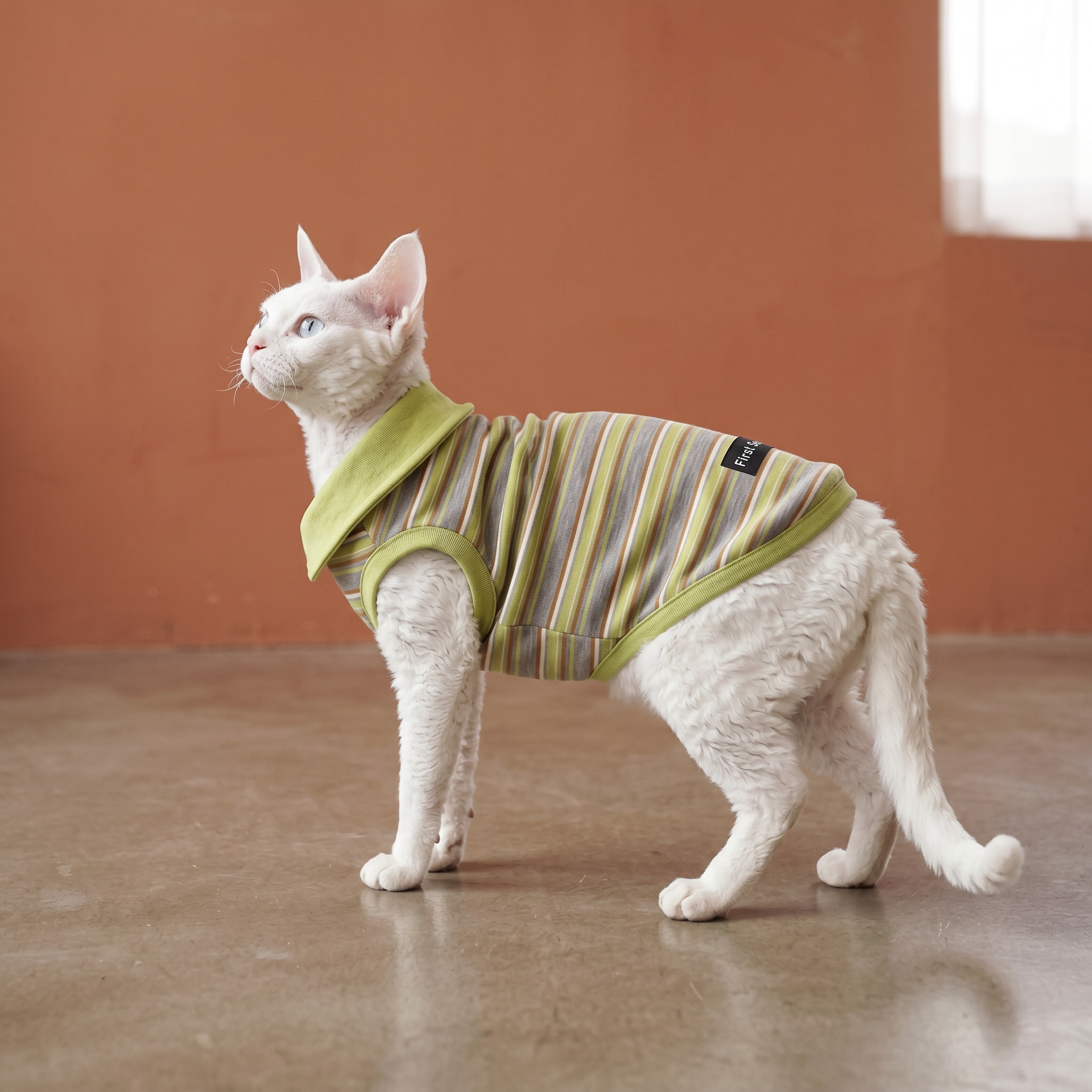 【Chubby Melon】Vintage Stripe Dog Tank Top Green Collar Soft Knit Pet Sleeveless Shirt for Small Dogs