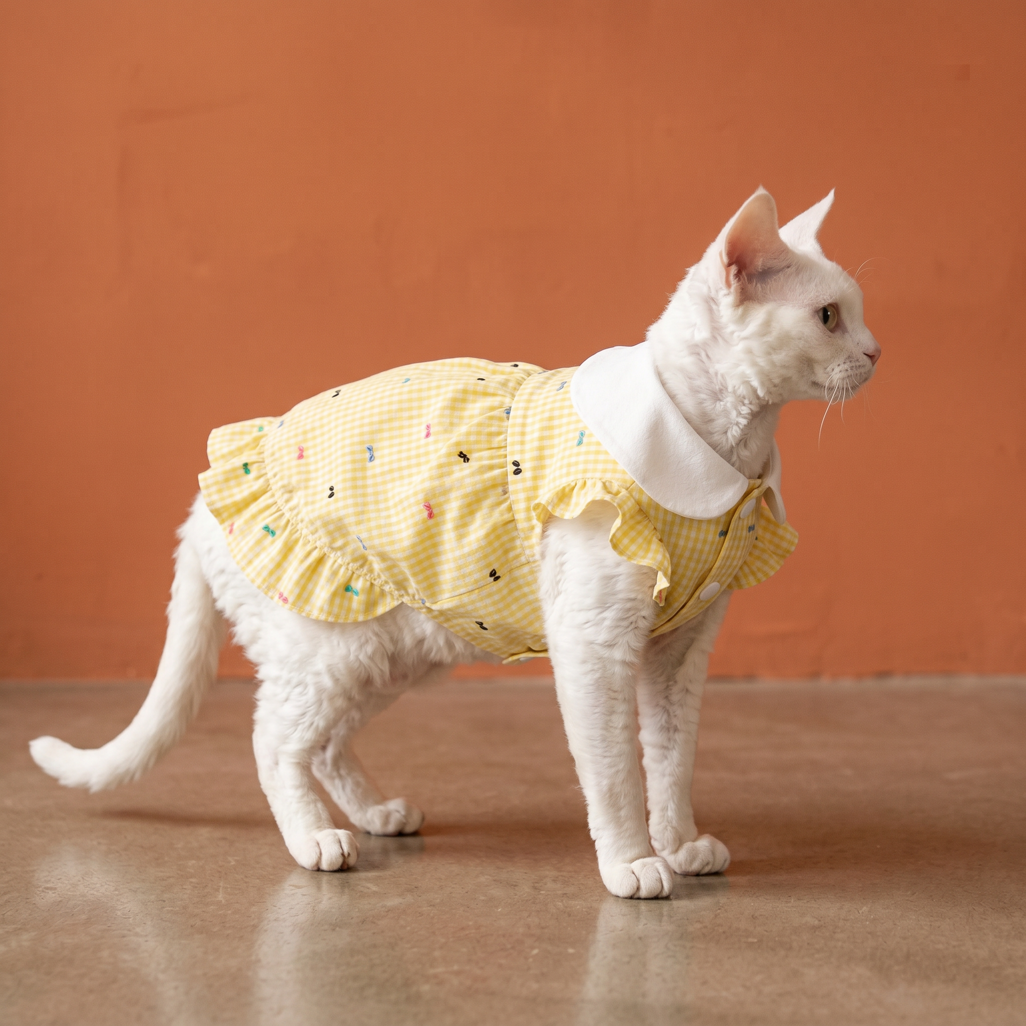 [Chubby melon]Cute Plaid Pet Ruffle Hem Princess Gown, Breathable Daily Outfit for Small Dogs & Cats