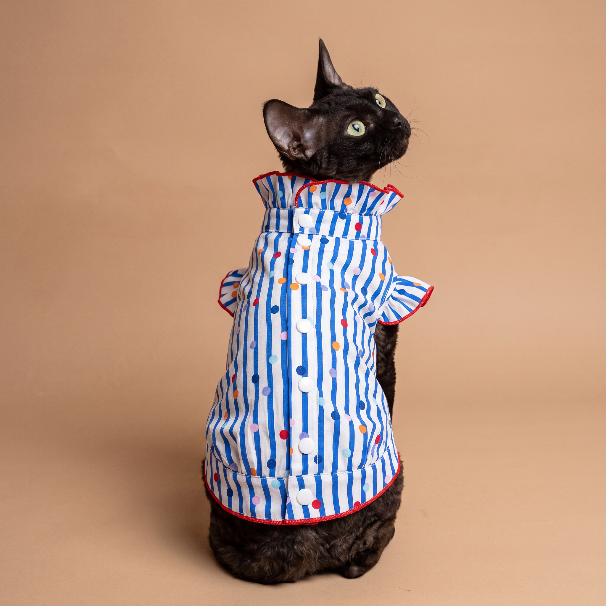 [Chubby melon]Blue & White Stripe Colorful Polka Dot Pet Top, Ruffle Collar Summer Breathable Puppy Shirt