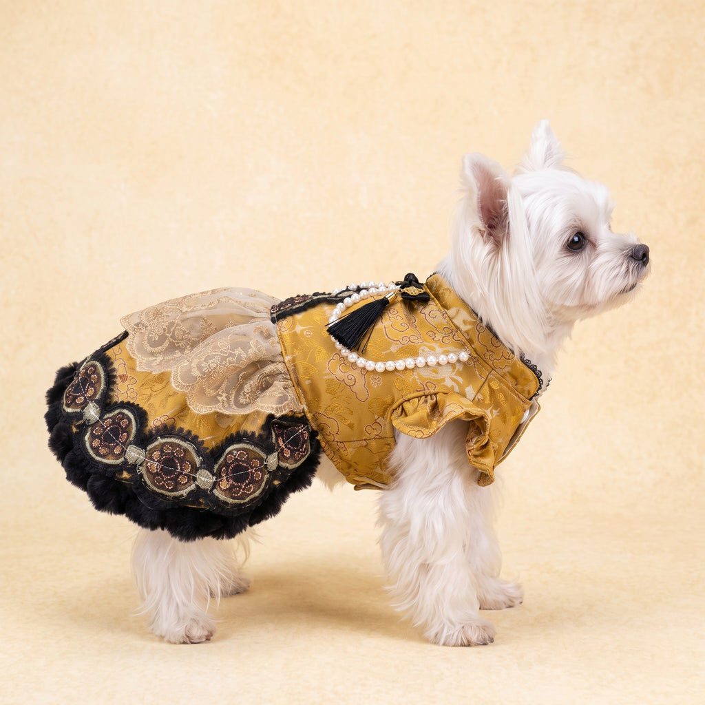 [chubby melon]Vintage Golden Jacquard Chinese Style Pet Lolita Dress, Frog Button Tassel Faux Fur Winter Costume for Small Dogs & Cats