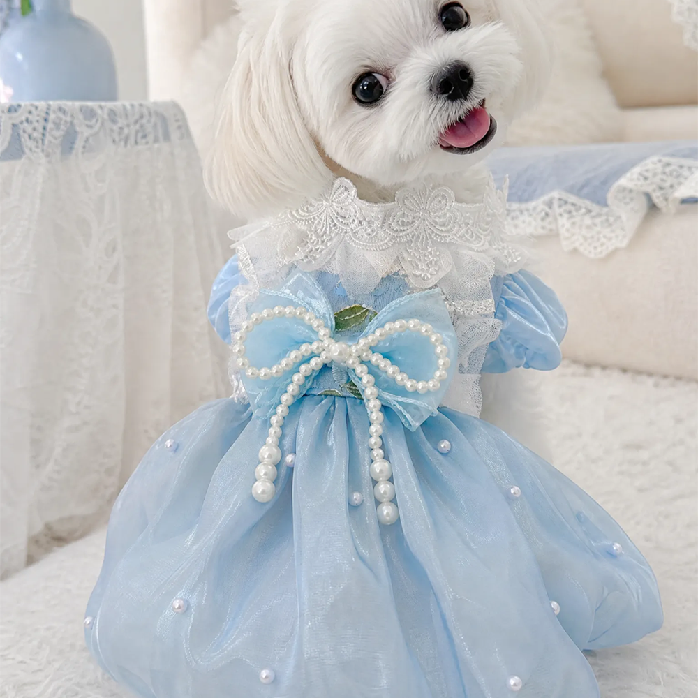 [Pangxigua]Light Blue Shimmer Organza Pet Princess Tutu Dress, Pearl Bow White Lace Ruffle Collar Puppy Wedding Party Gown