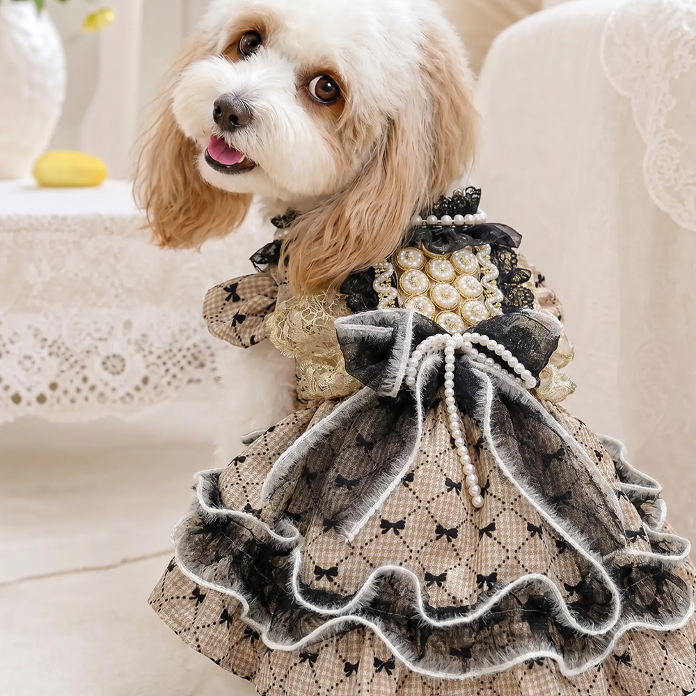 【Pangxigua】Dark Rococo Style Pet Formal Outfit, Gold Circular Bead Chest Panel Black Lace Ruffle Dog Birthday Dress