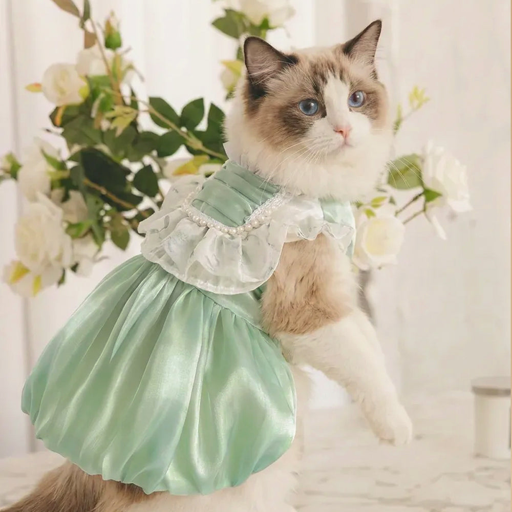 Chubby Melon] Pearlescent Green Pearl Pet Princess Dress