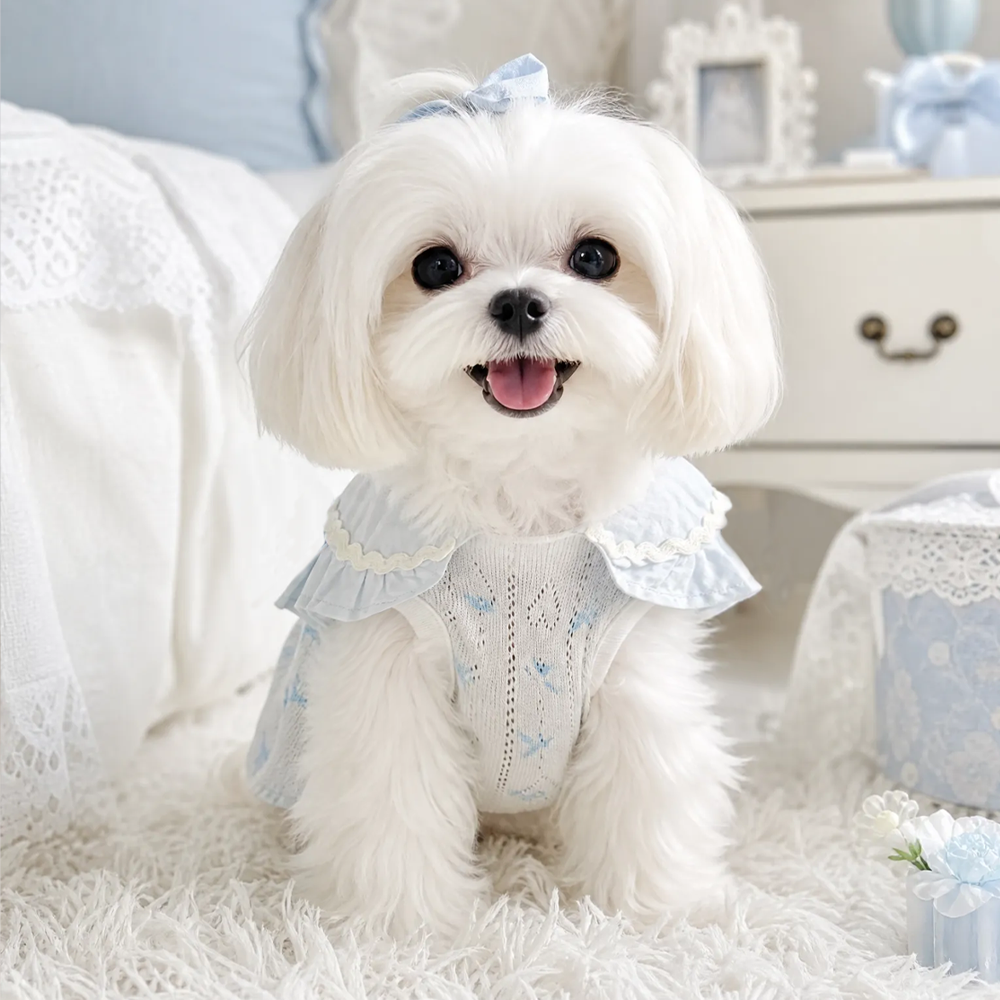 [PangXigua]Light Blue Ruffle Collar Pet Bubble Dress, Blue Bow Print Breathable Mesh Fabric Plaid Bow Plush Bear  Puppy Summer Outfit