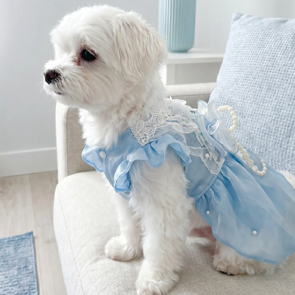 [Pangxigua]Light Blue Shimmer Organza Pet Princess Tutu Dress, Pearl Bow White Lace Ruffle Collar Puppy Wedding Party Gown