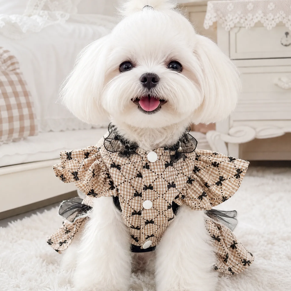 【Pangxigua】Dark Rococo Style Pet Formal Outfit, Gold Circular Bead Chest Panel Black Lace Ruffle Dog Birthday Dress