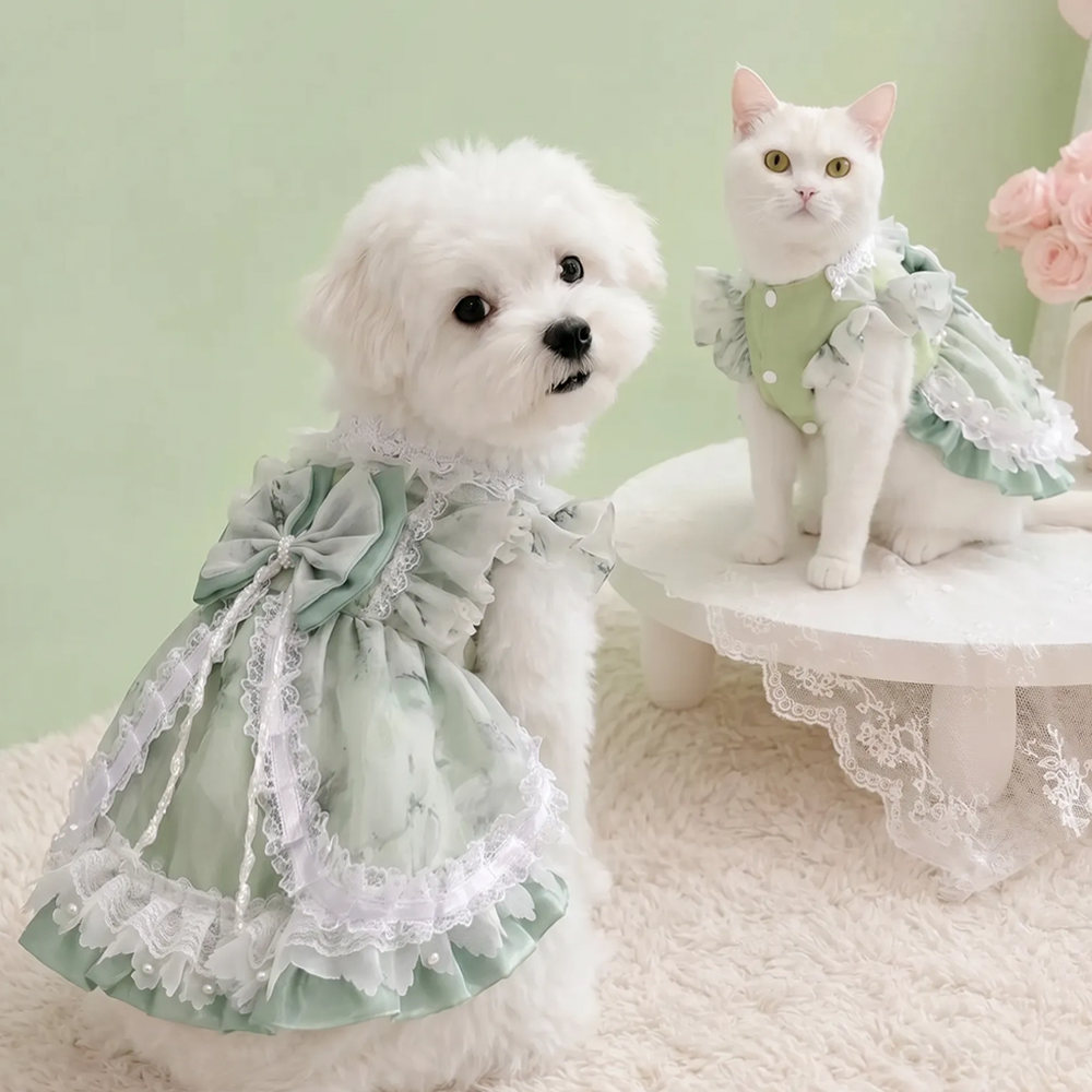 Forest-style mint green organza pet dress with pearl lace—fluffy party dress for cats and small dogs