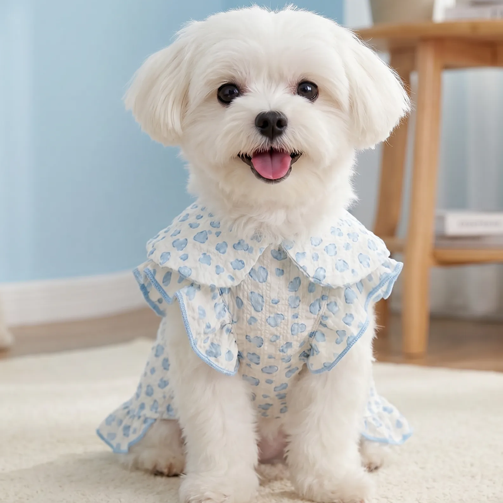 [Pangxigua]Cute Blue Heart Ruffle Collar Pet Vest, Soft Breathable Sleeveless Shirt for Cats & Small Puppies, Daily Wear Dog Cat Outfit