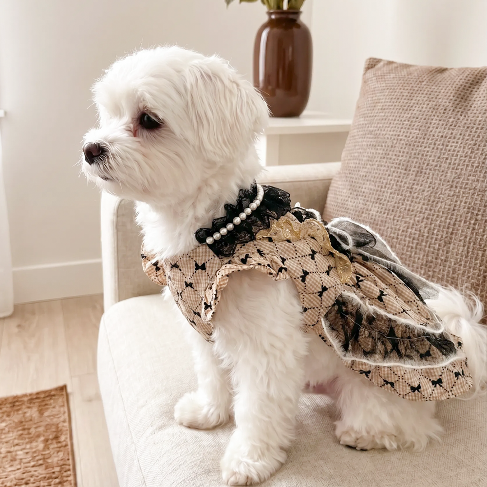 【Pangxigua】Dark Rococo Style Pet Formal Outfit, Gold Circular Bead Chest Panel Black Lace Ruffle Dog Birthday Dress