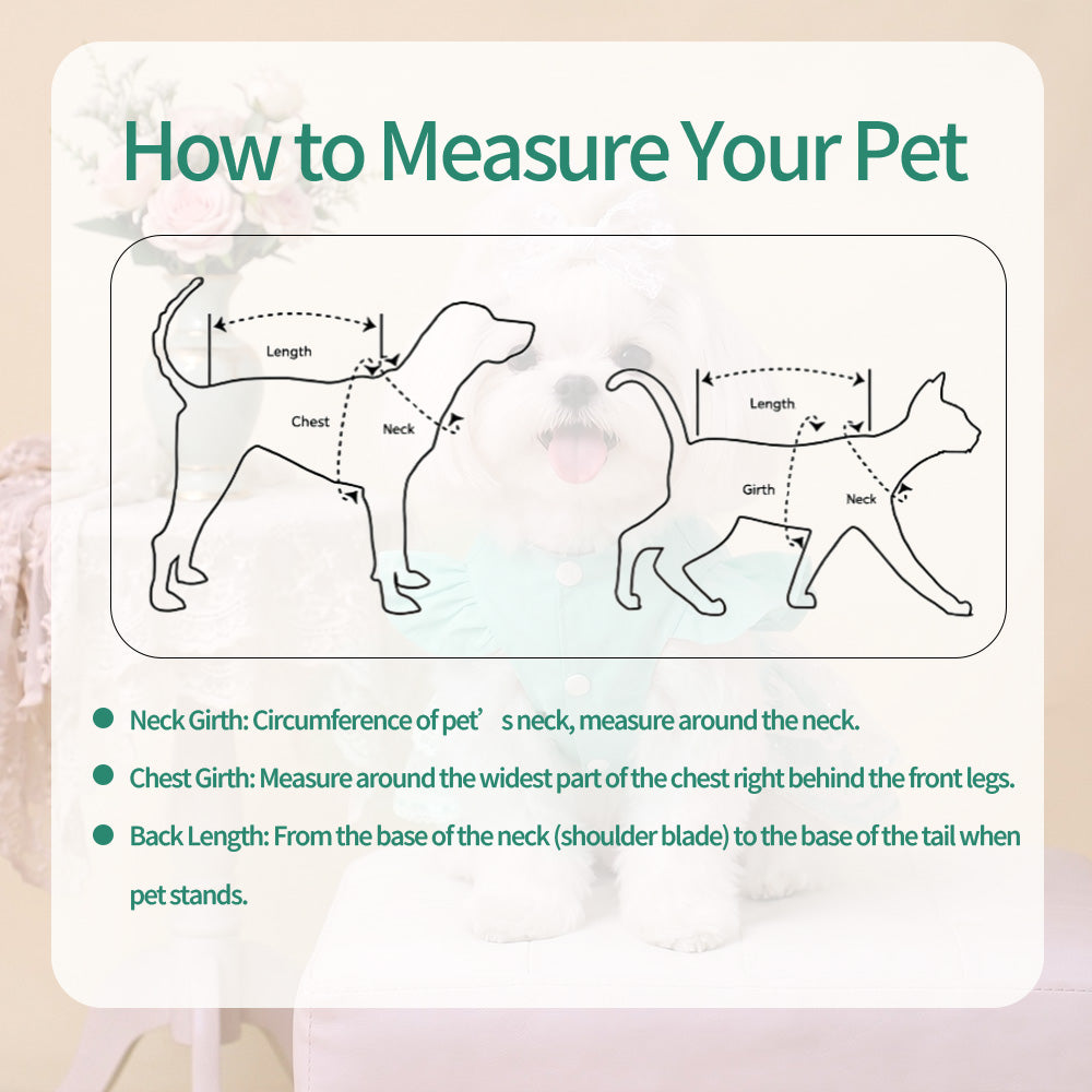 Mint‑Green Lace Dog Wedding Dress, Princess Tutu Skirt with Bow‑Knot, Summer Breathable Pet Party Outfit for Small Dogs Cats, Bichon, Poodle, Teddy