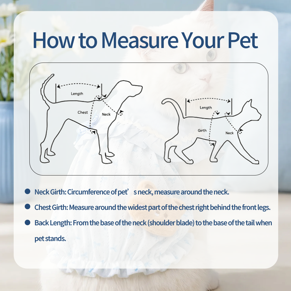 [PangXigua]Light Blue Ruffle Collar Pet Bubble Dress, Blue Bow Print Breathable Mesh Fabric Plaid Bow Plush Bear  Puppy Summer Outfit