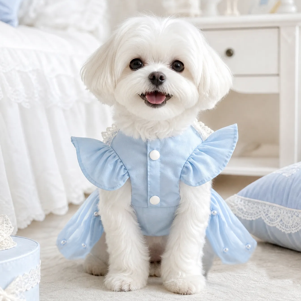 [Pangxigua]Light Blue Shimmer Organza Pet Princess Tutu Dress, Pearl Bow White Lace Ruffle Collar Puppy Wedding Party Gown