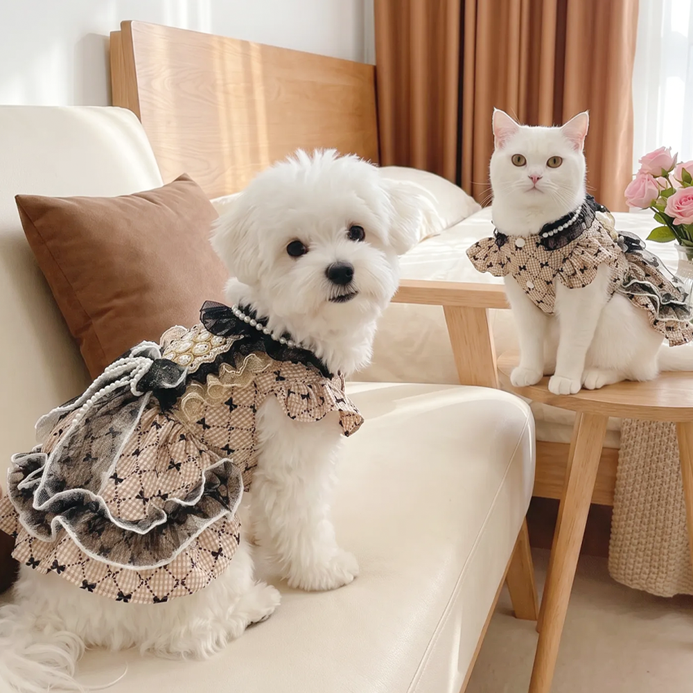 【Pangxigua】Dark Rococo Style Pet Formal Outfit, Gold Circular Bead Chest Panel Black Lace Ruffle Dog Birthday Dress