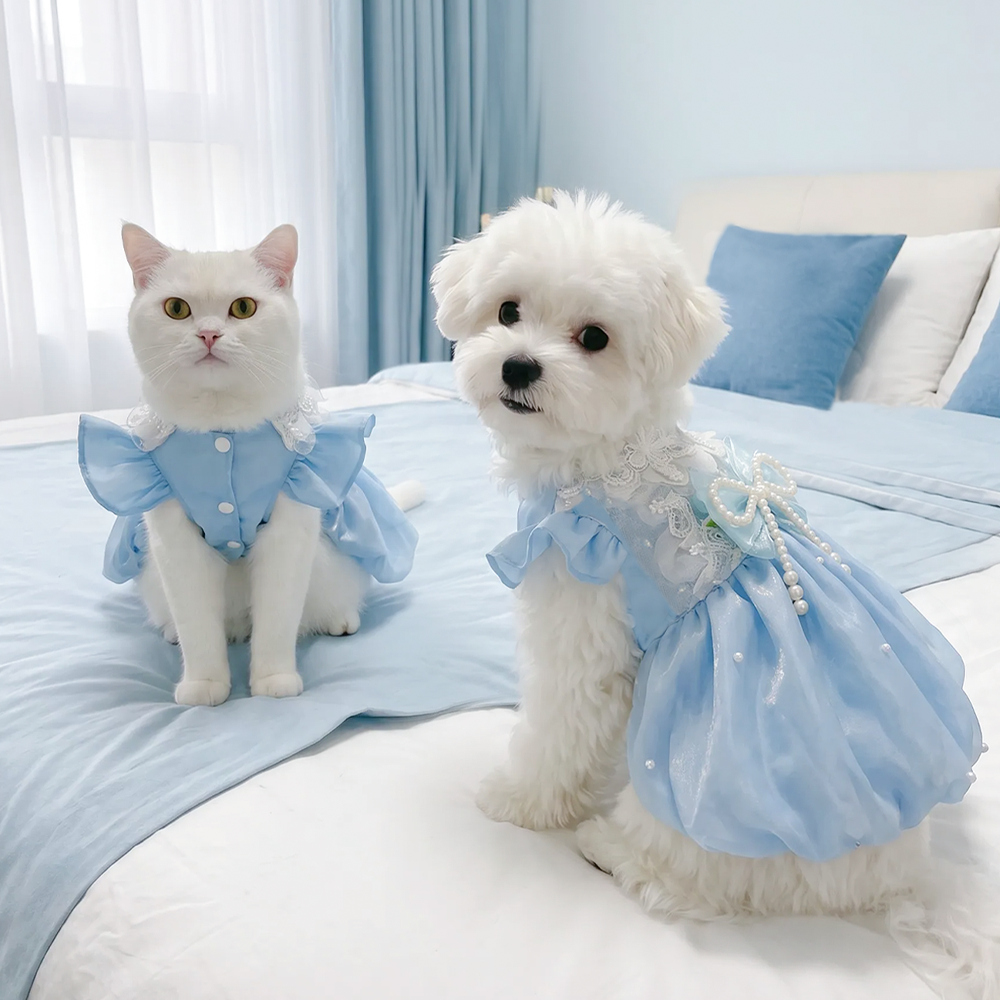 [Pangxigua]Light Blue Shimmer Organza Pet Princess Tutu Dress, Pearl Bow White Lace Ruffle Collar Puppy Wedding Party Gown