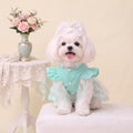Mint‑Green Lace Dog Wedding Dress, Princess Tutu Skirt with Bow‑Knot, Summer Breathable Pet Party Outfit for Small Dogs Cats, Bichon, Poodle, Teddy