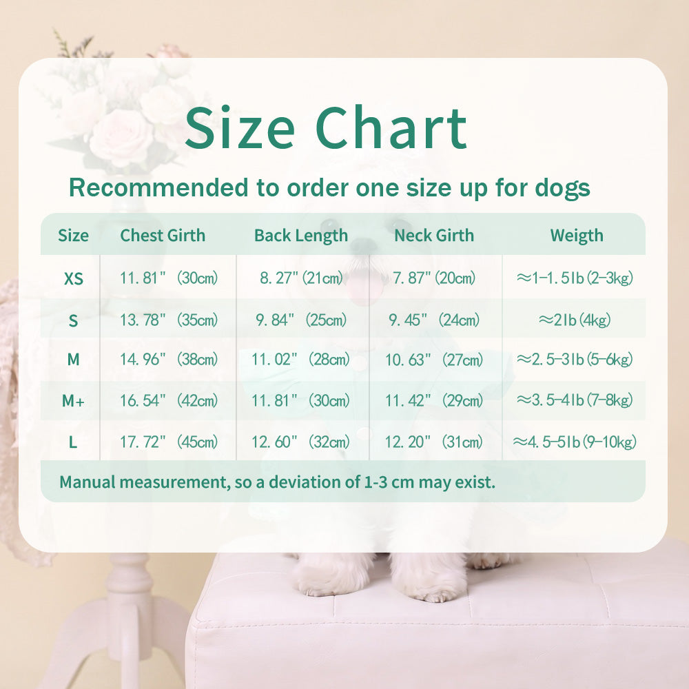 Mint‑Green Lace Dog Wedding Dress, Princess Tutu Skirt with Bow‑Knot, Summer Breathable Pet Party Outfit for Small Dogs Cats, Bichon, Poodle, Teddy
